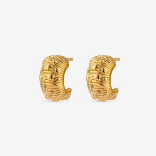 Cosmic Earrings