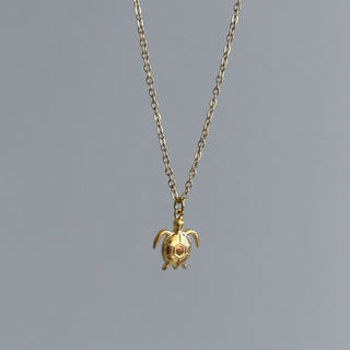 Turtle Necklace