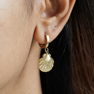 Cove Earrings