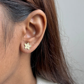 Essential Earrings Set 1.0