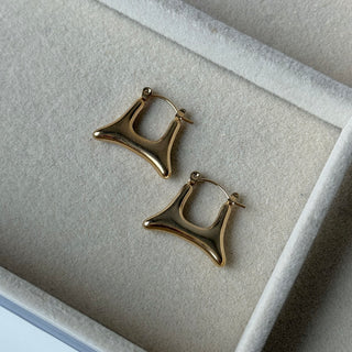 Sculpt Hoops