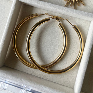 Amy Hoops 1.0