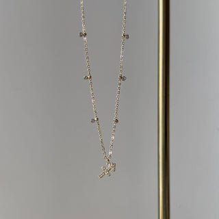 Star Sign Necklace